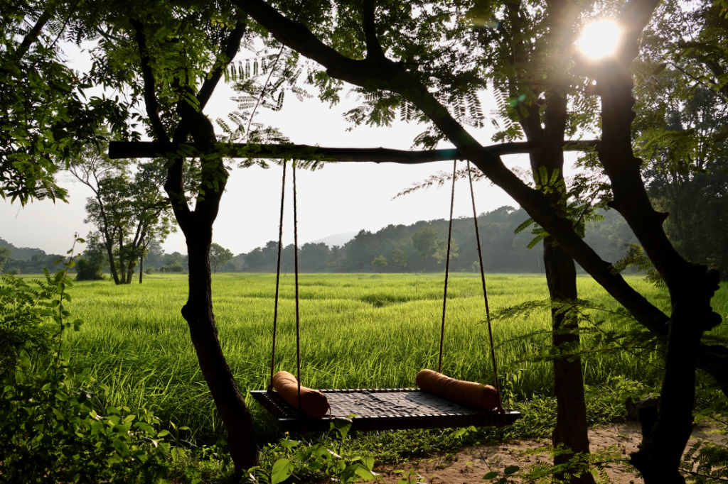 Swingbed in front of paddy fields at Ulpotha