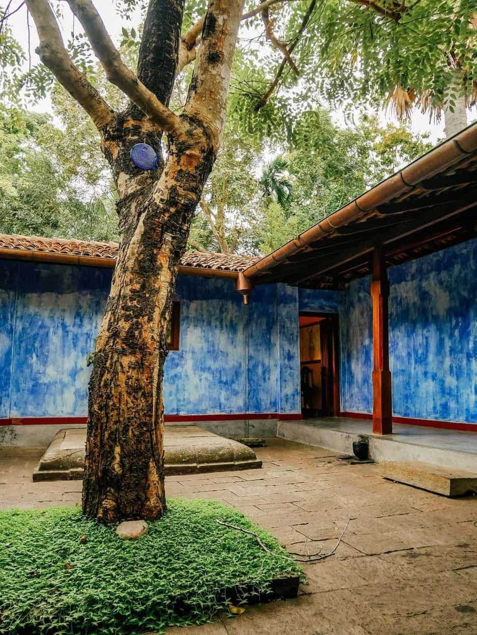 A gnarled tree rises through the stone paving of the indigo-blue inner courtyard, terracotta eaves and a warmly lit doorway beyond.