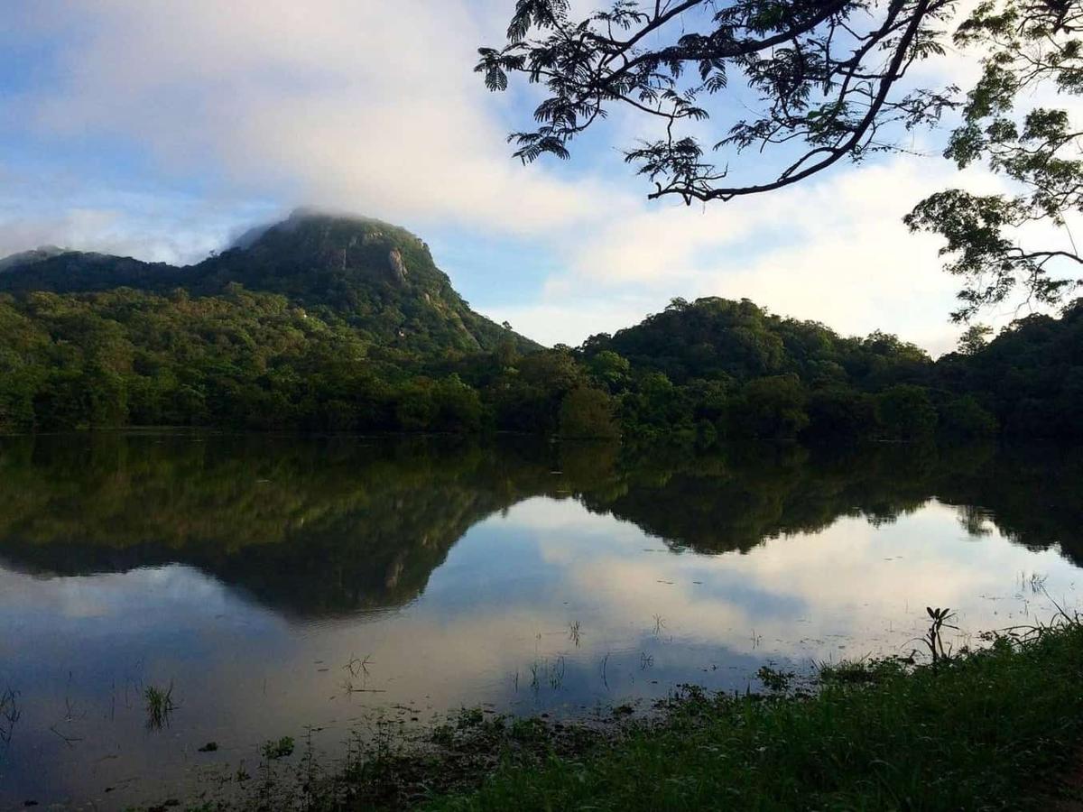 Ulpotha's lake at dawn with the Galgiriyawa mountains reflected in still water.