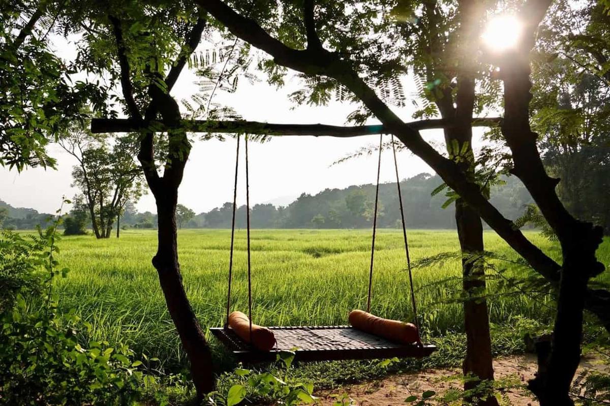 A swing daybed over the paddy fields in afternoon sunlight at Ulpotha.