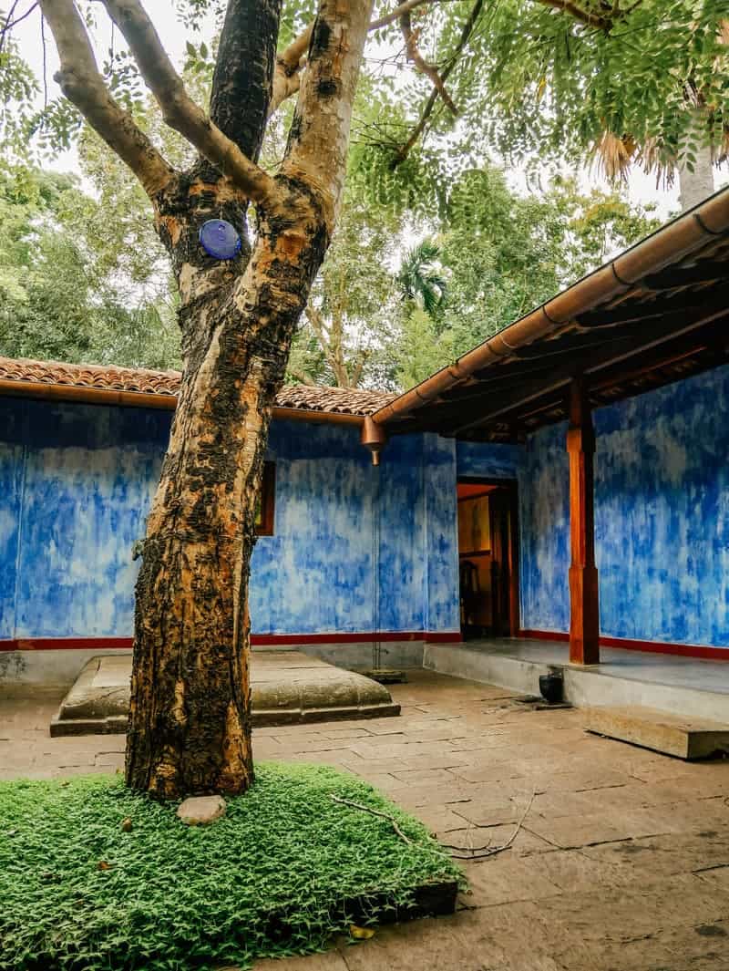 The indigo-blue inner courtyard in daylight: a gnarled tree rising from stone paving, terracotta roof eaves and a doorway glowing warm at the back