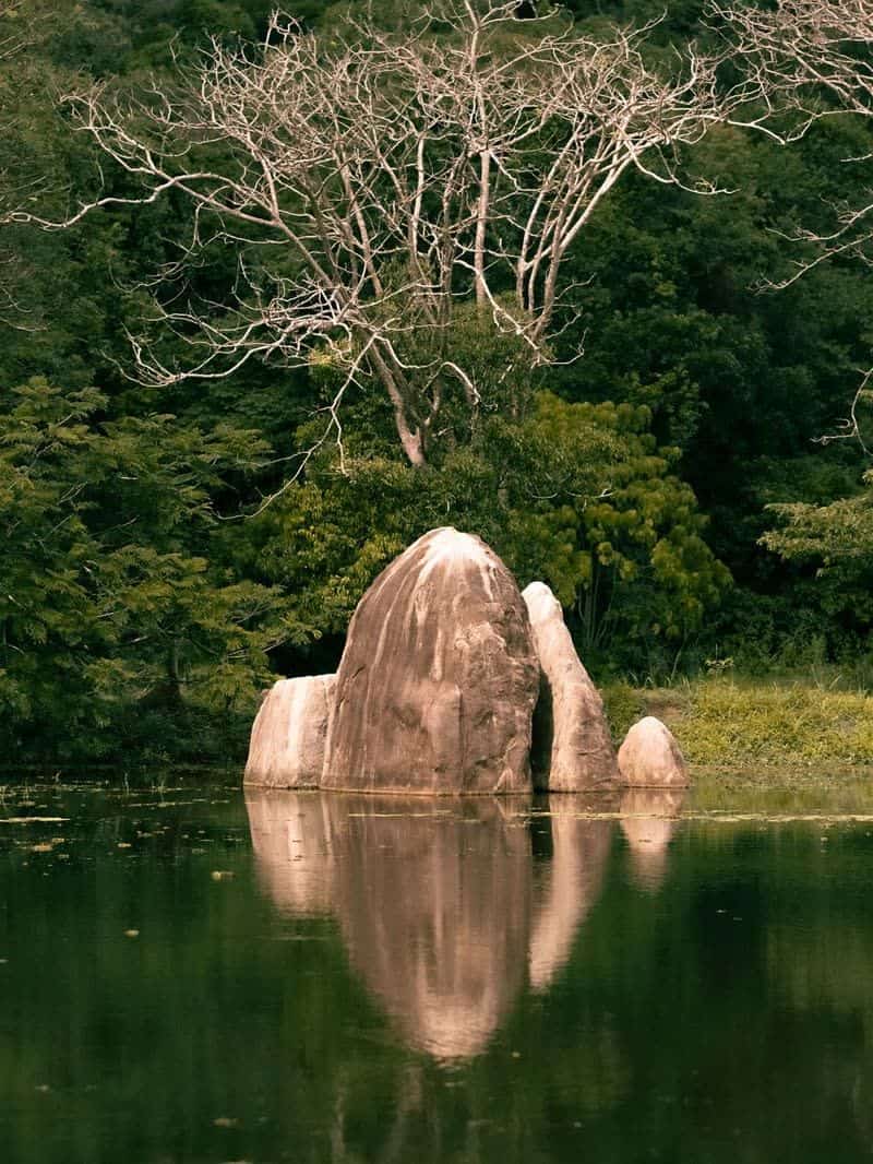 Granite boulders reflected in the still green water of a jungle lake, with a bare tree rising behind them.