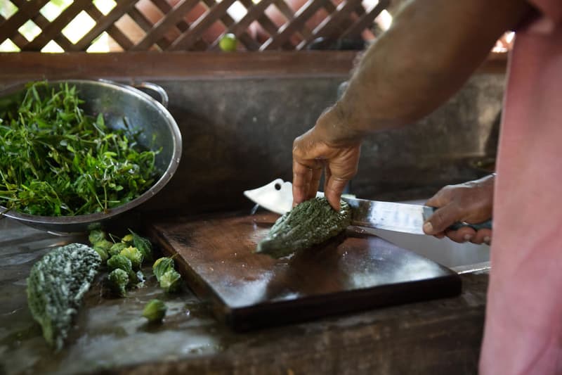 Weathered hands slicing a knobbly bitter gourd on a dark wooden board in the open kitchen, a colander piled with just-picked greens beside
