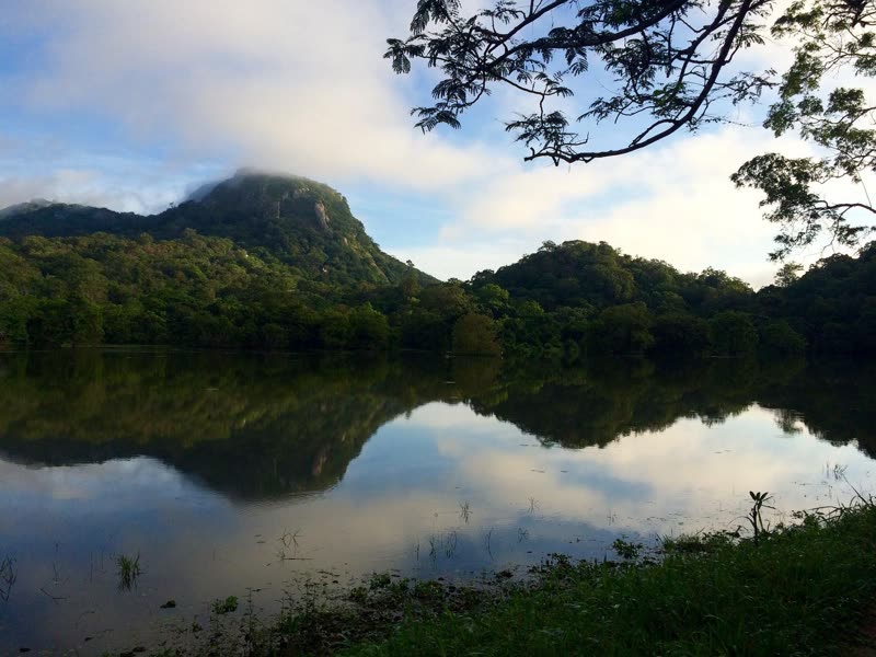 A calm lake reflecting a forested mountain topped with low cloud, with jungle trees framing the shore.